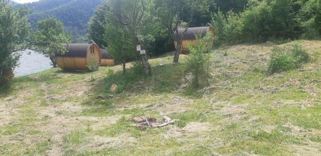 Pensiunea Izvorul Bucuriei Сириу Екстериор снимка